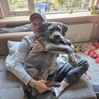 Raza de perro Shine☀️☀️☀️